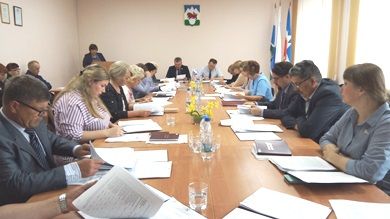 Двадцать пятое заседание Думы городского округа