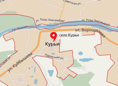 Сход граждан в с. Курьи 