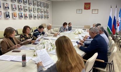 Заседания постоянных профильных комиссий 